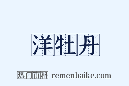 洋牡丹是什么意思的图片